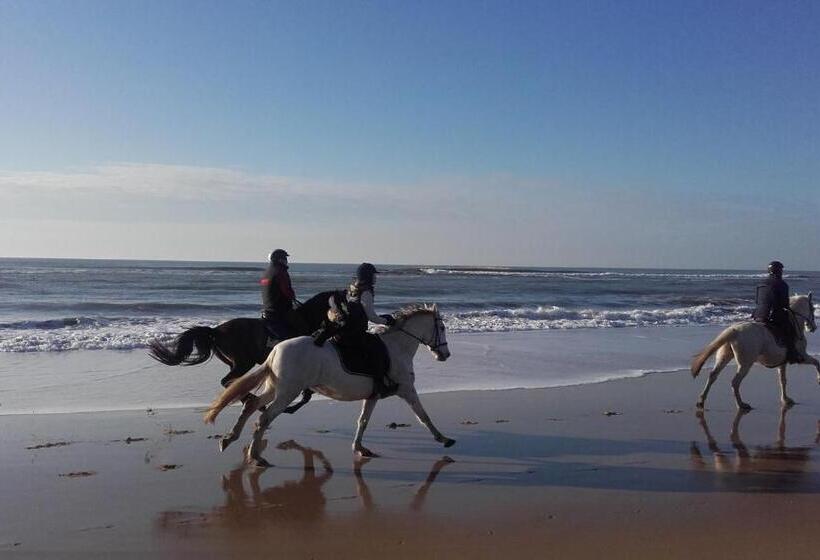 酒店 Hôtel Le Printemps