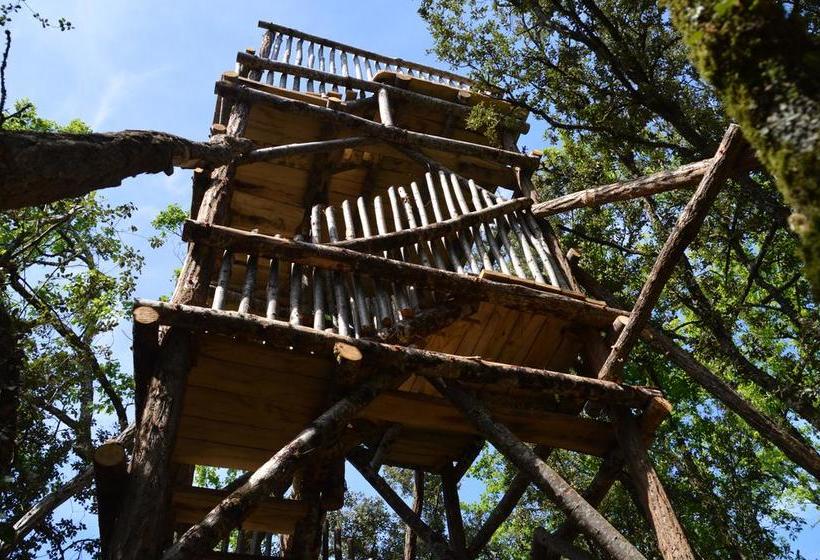 ホテル Hôtel Restaurant Le Rouffillac