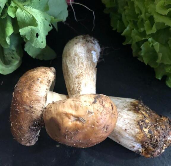 فندق Le Trésor Des Templiers