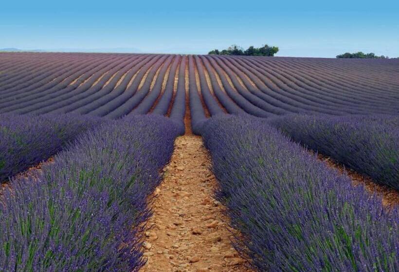 فندق Le Trésor Des Templiers