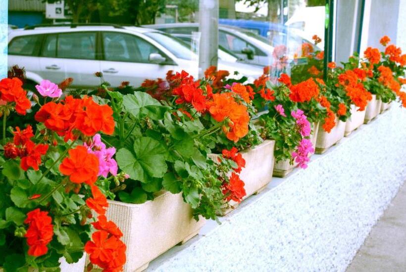 فندق Les Pecheurs