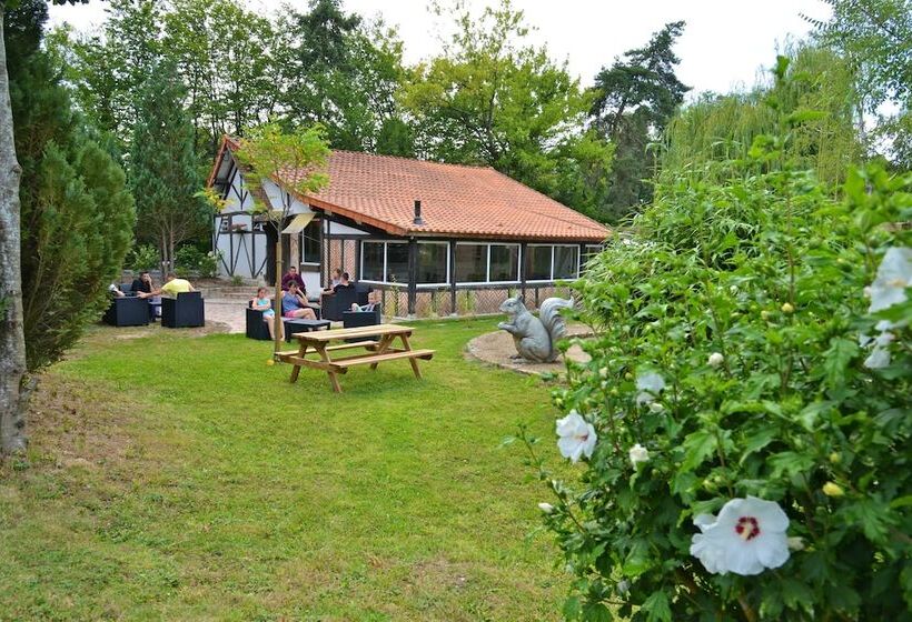 Logis   Hotel Restaurant La Mire