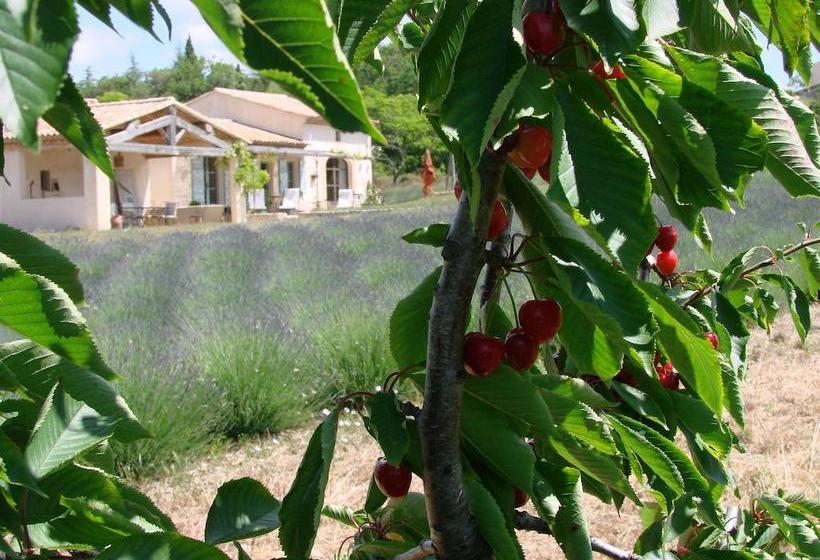 Le Clos D Estellan   Piscine Chauffée