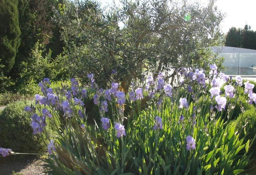 Mas De L'estello B&b