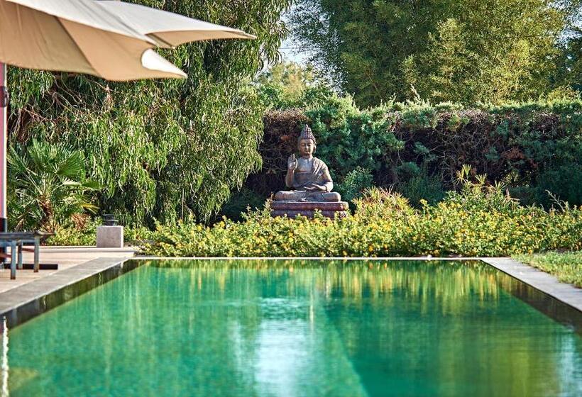 Bed and Breakfast Villa Mercedes Bord De Mer