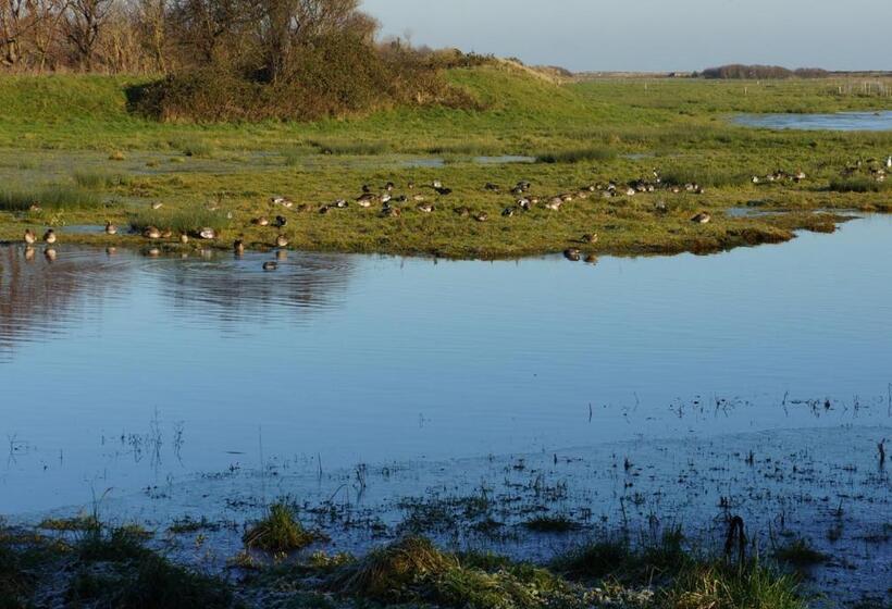 B&b Les Oiseaux De Passage