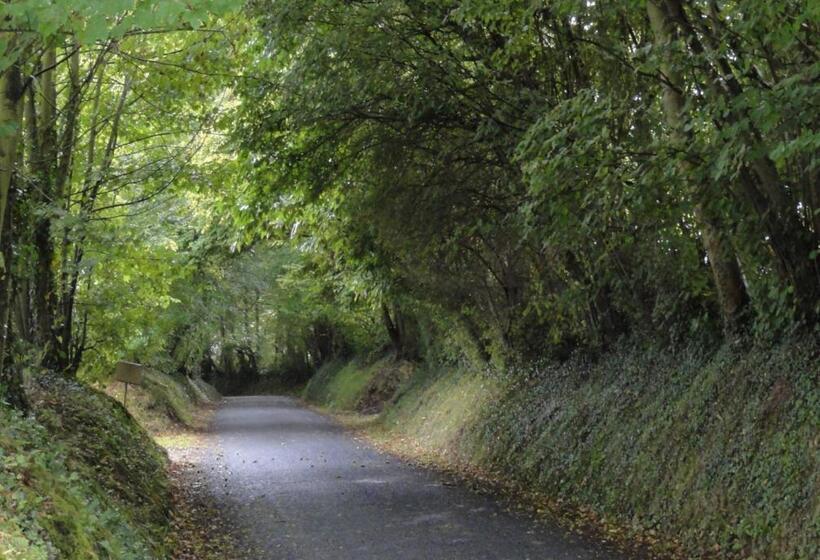 B&b Les Oiseaux De Passage