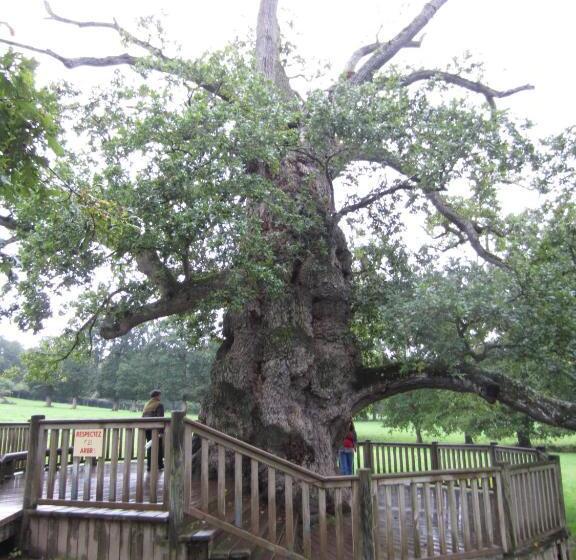 צימר Ar Litorienn