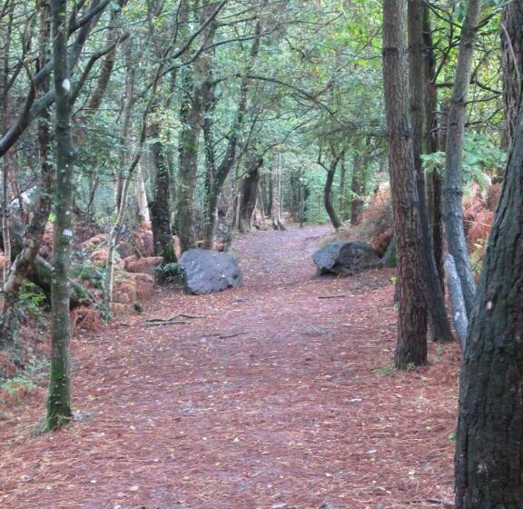 צימר Ar Litorienn