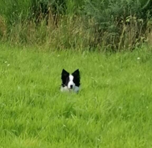 مبيت وإفطار Ar Litorienn