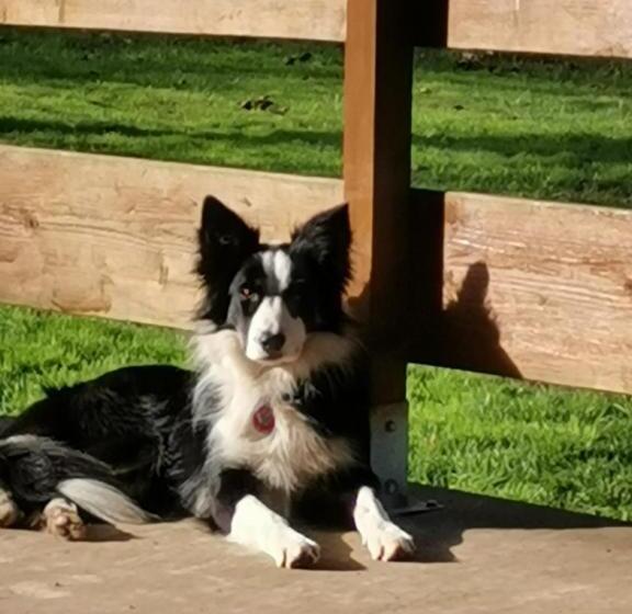 צימר Ar Litorienn