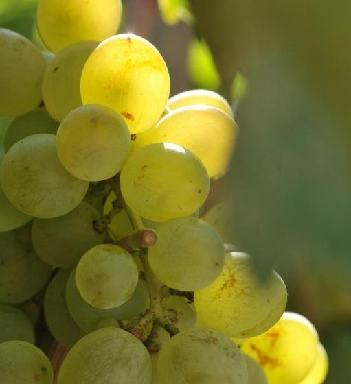 Bed and Breakfast Auberge De La Fontaine