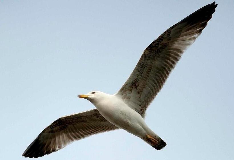 Bed and Breakfast Auberge De La Fontaine