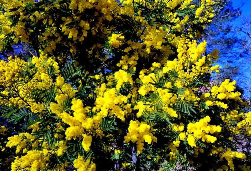 Bed and Breakfast Auberge De La Fontaine