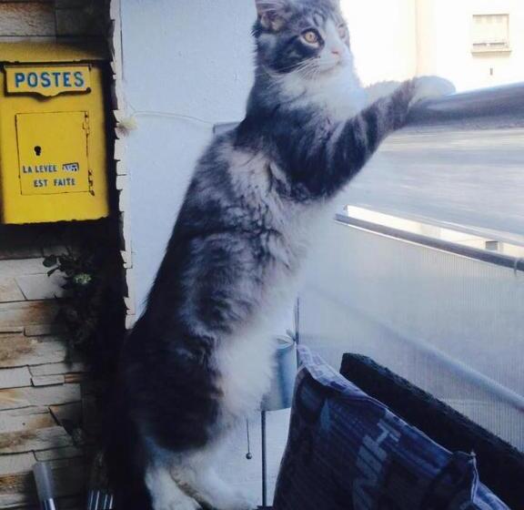 Bed and Breakfast Bienvenue Chez Nous