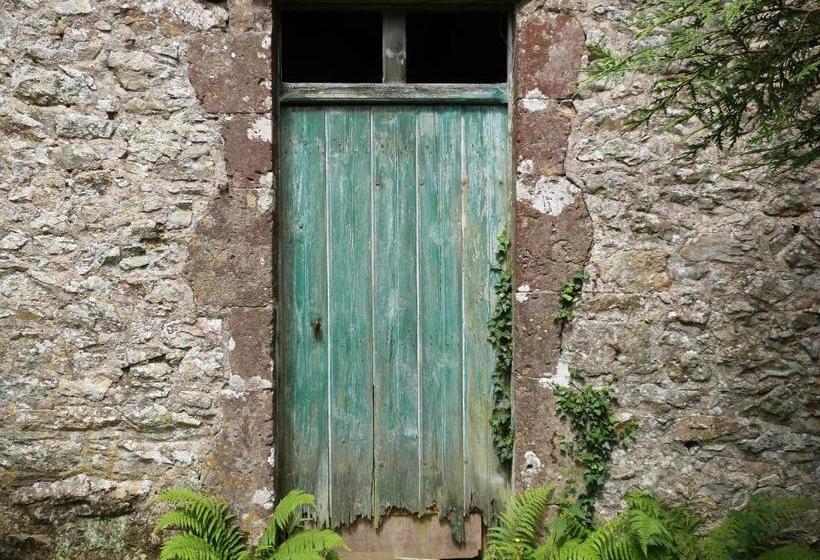 住宿加早餐 Bruce Castle