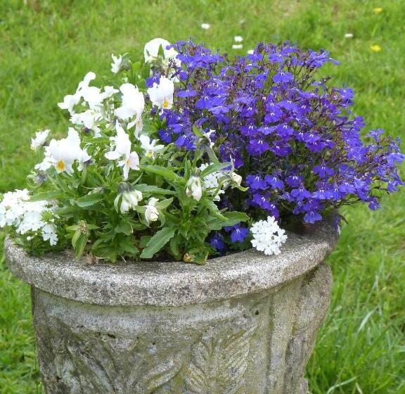 住宿加早餐 Bruce Castle