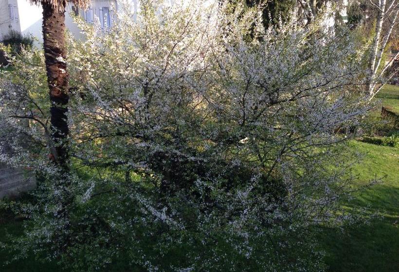 Bed and Breakfast L Horizon, Suite Familiale, Stationnement Gratuit, Prise Batterie