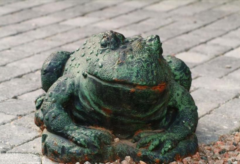 مبيت وإفطار Chambres D Hôtes Castel Des Cèdres