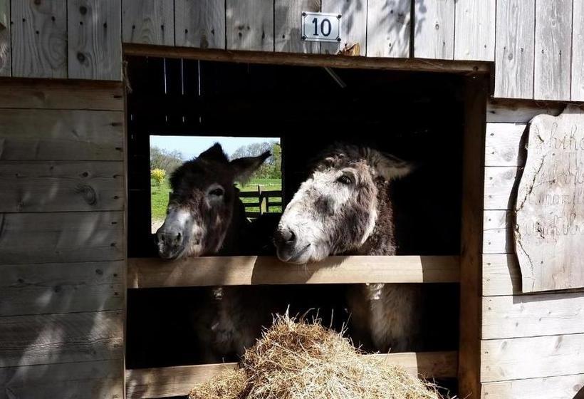 ベッドアンドブレックファースト Chambres D'hôtes Côté Campagne