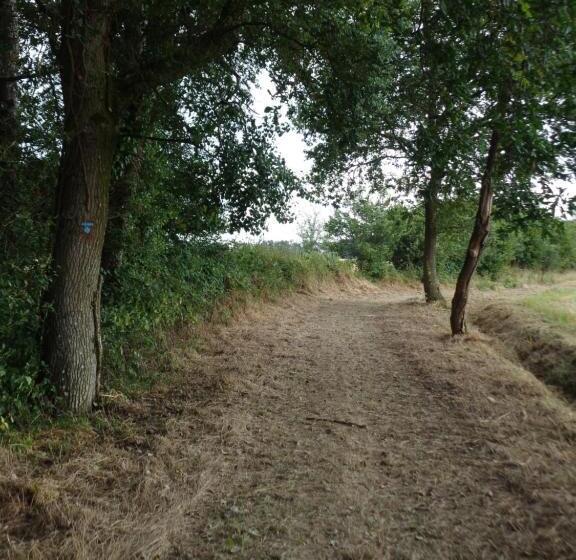 צימר Chambres D Hôtes Domaine Du Bois Basset