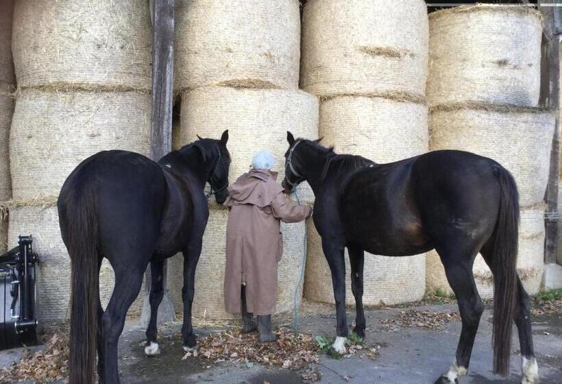 צימר Chambres D Hôtes Domaine Du Bois Basset