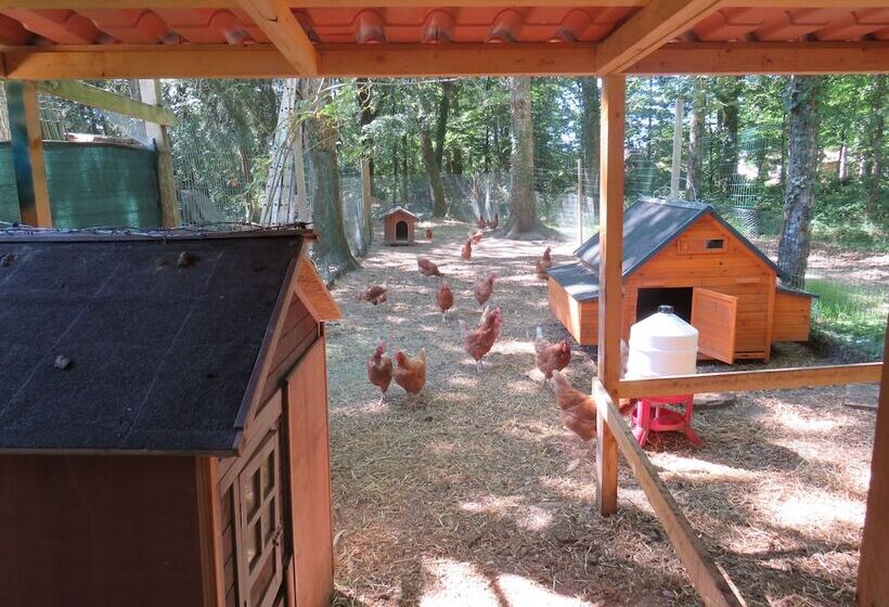 민박 Chambres D Hôtes La Brillève