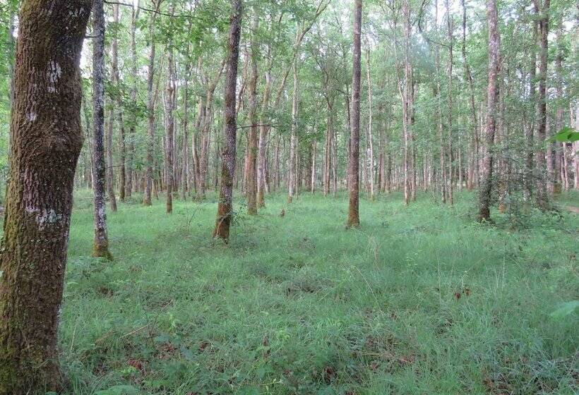 민박 Chambres D Hôtes La Brillève