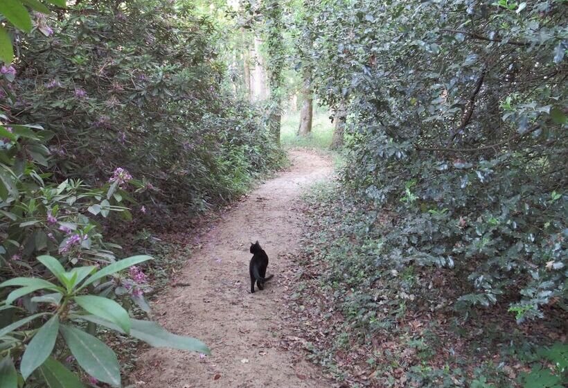 צימר Chambres D Hôtes La Brillève