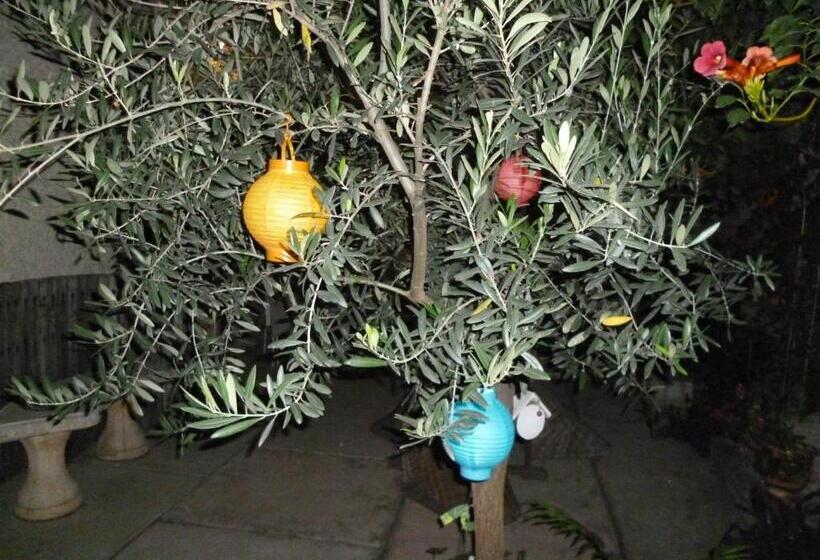 مبيت وإفطار Chambres D Hôtes La Rose Des Vents