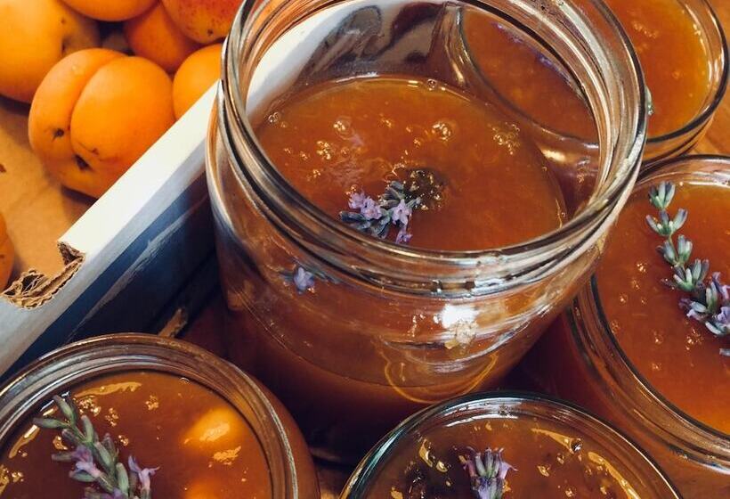 住宿加早餐  Chambres D'hôtes De Parseval