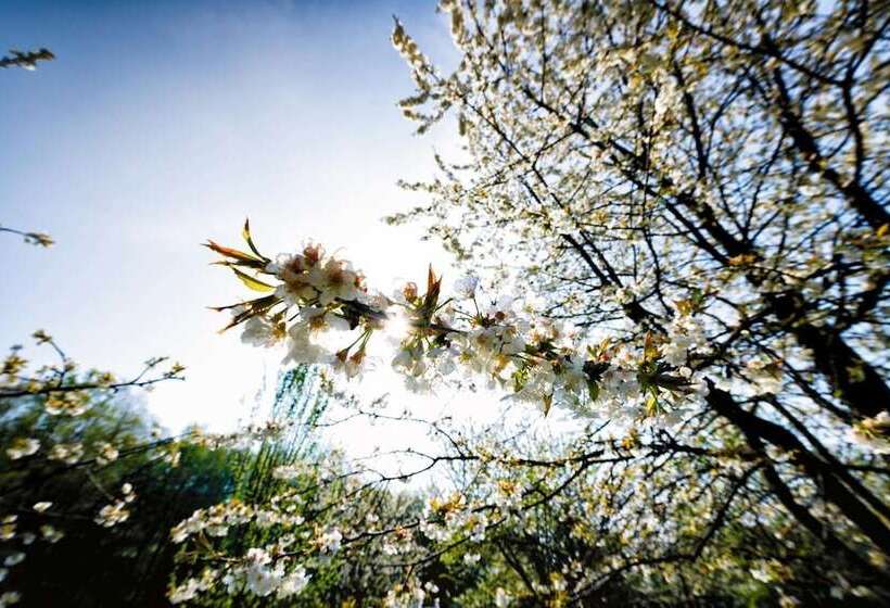 민박 Les Chambres D Hôtes Du Château De Saint Georges