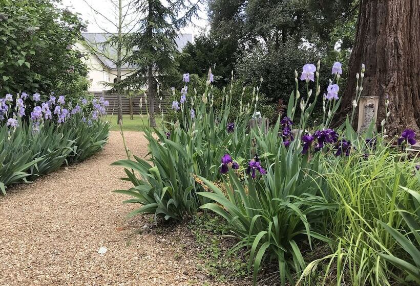 住宿加早餐  Chambres D Hôtes Le Clos Des 3 Rois