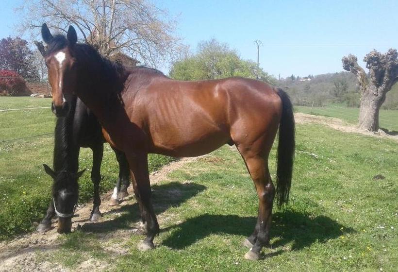 مبيت وإفطار Domaine De Belcayre