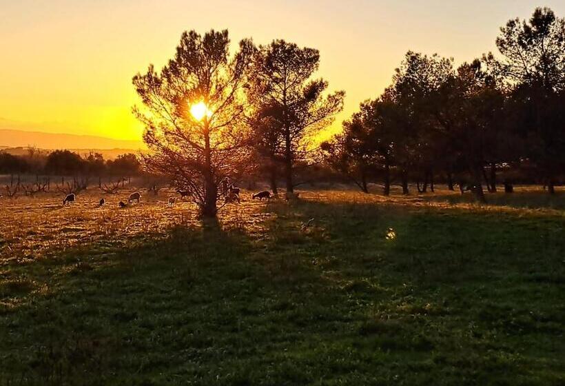 住宿加早餐  Domaine De La Matte