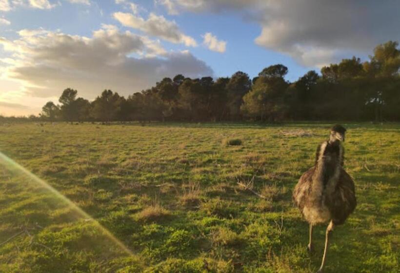 住宿加早餐  Domaine De La Matte