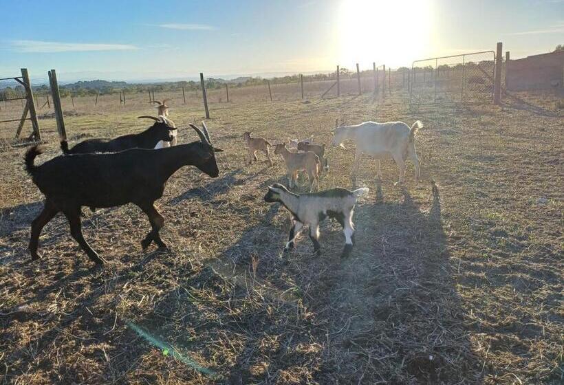 住宿加早餐  Domaine De La Matte