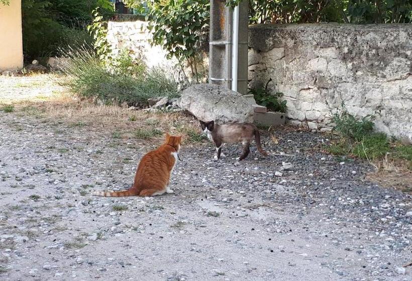 住宿加早餐  Domaine De La Matte