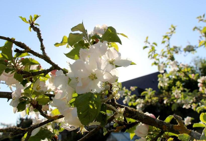 مبيت وإفطار En Bord De Seine