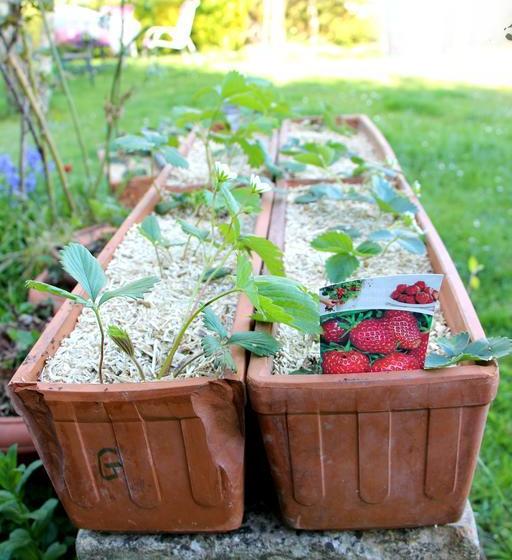 مبيت وإفطار En Bord De Seine