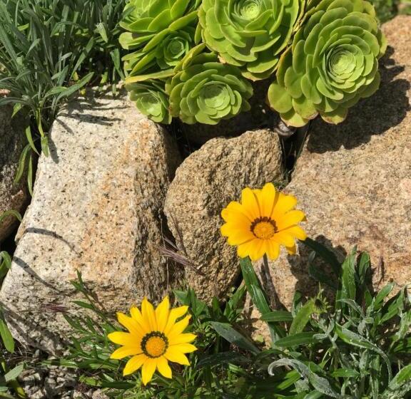 住宿加早餐  Fiore Di Machja