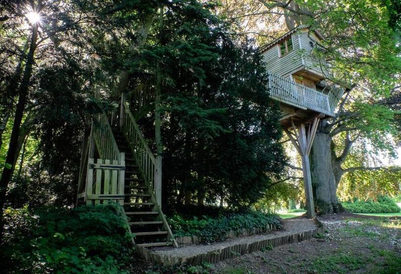 צימר Guesthouse Domaine Du Chalet