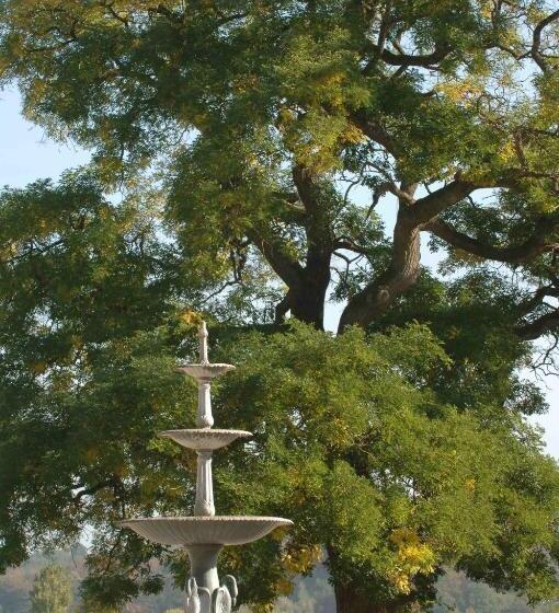 민박 Guesthouse Domaine Du Chalet