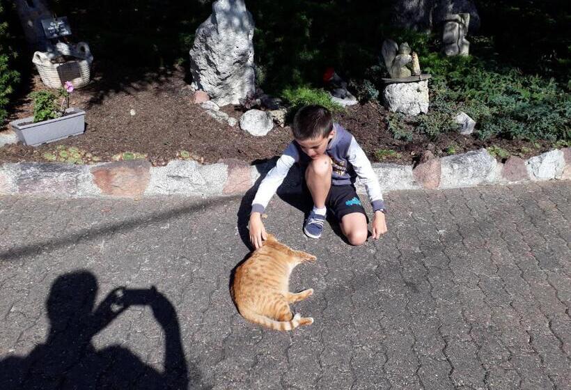 住宿加早餐  Hôtel Logis La Coraline