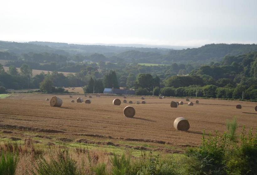 צימר L Araucaria   Chambres D Hôtes Et Gîte