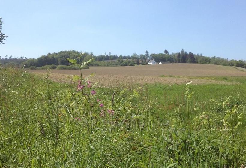 צימר L Araucaria   Chambres D Hôtes Et Gîte