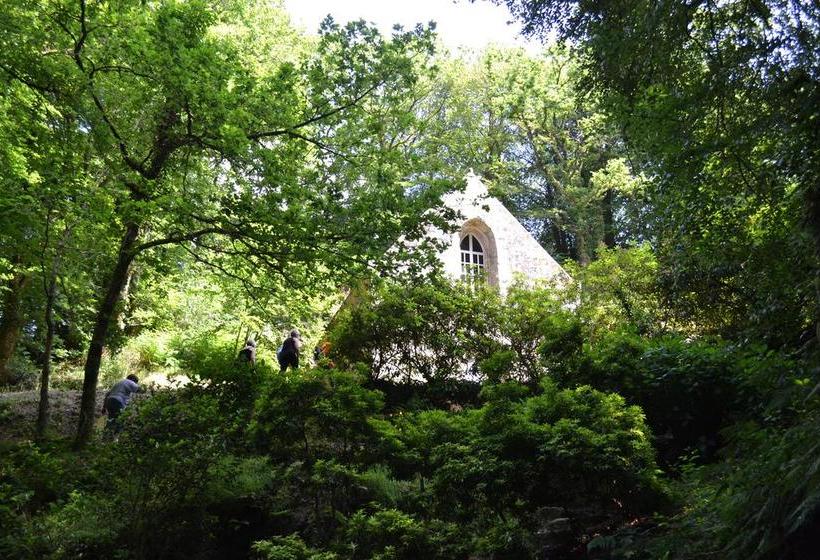 צימר L Araucaria   Chambres D Hôtes Et Gîte