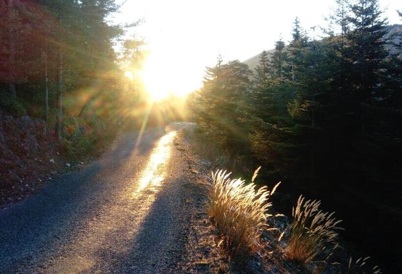 Bed and Breakfast La Bastide Des Pins