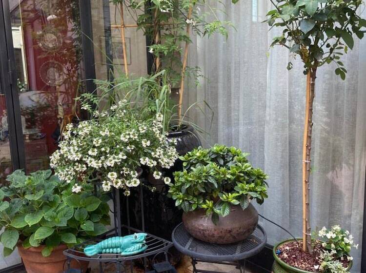 צימר La Cour Carrée