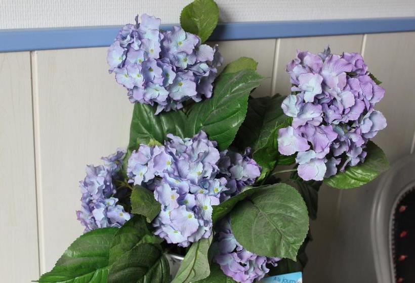 Bed and Breakfast La Demeure Aux Hortensias